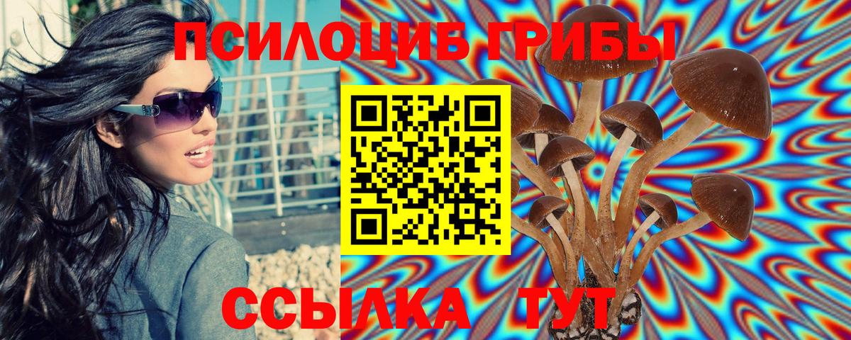Галлюциногенные грибы MAGIC MUSHROOMS Строитель